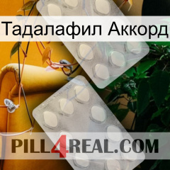 Тадалафил Аккорд 17